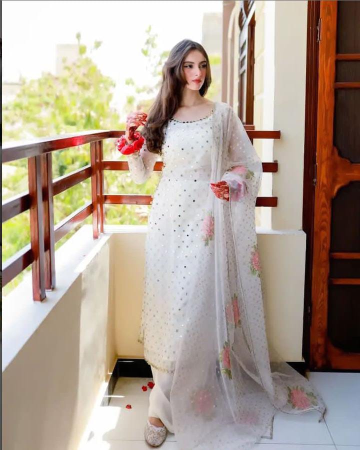 Royal Mirror Work Organza Suit (3-Pc)